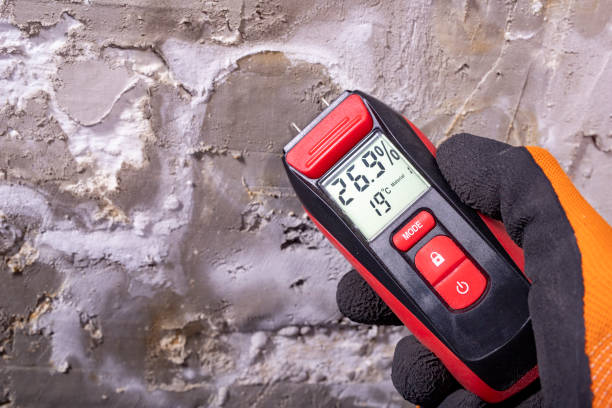 Best Residential Mold Removal  in Waverly, OH