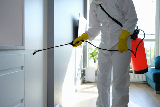 Best Certified Mold Removal  in Waverly, OH